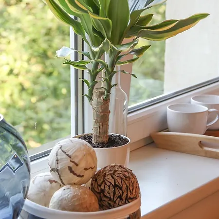 Homestay Πανδοχείο *